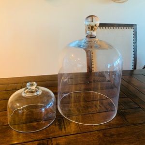 2pc glass dome cloche